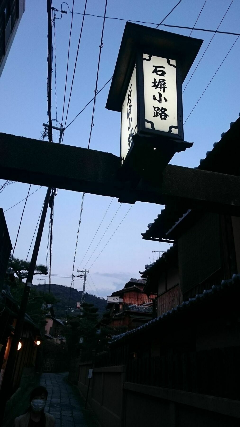 Villa Kyonoyado Senkaku Bettei à Kyoto Extérieur photo